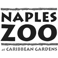 Naples Zoo Logo | STARability